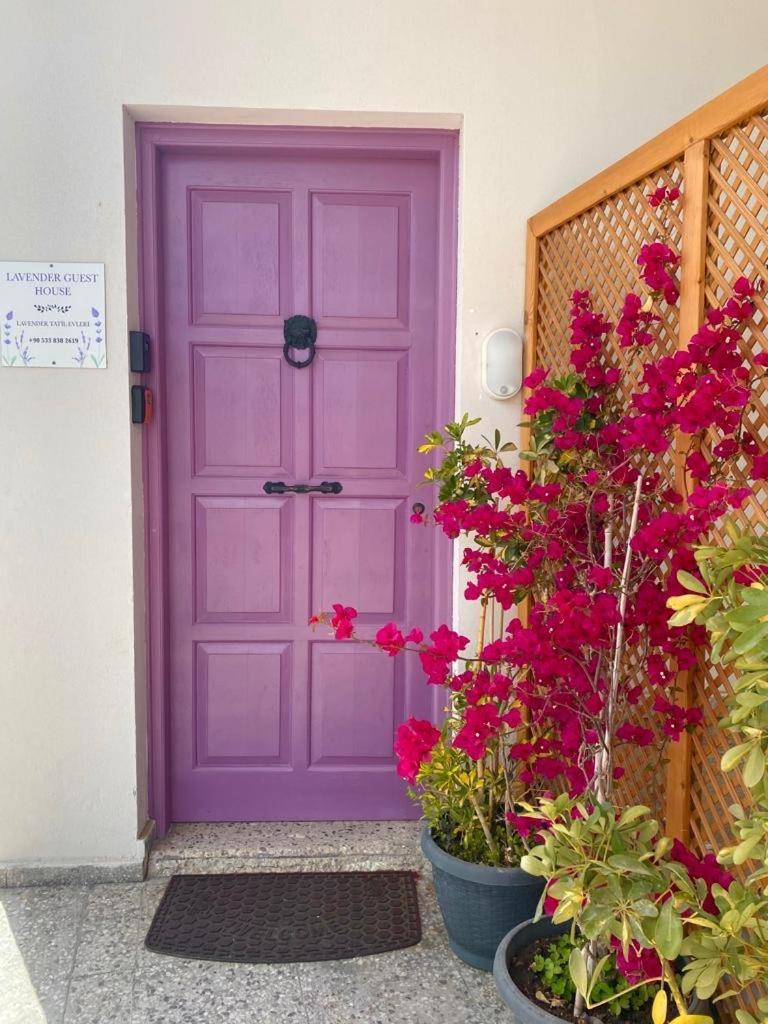 Lavender Homes, Walled City ファマグスタ エクステリア 写真